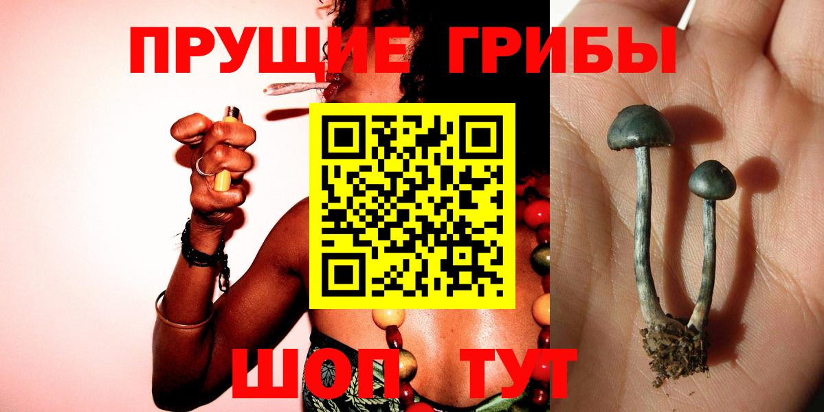 Бошки Шишки Россошь