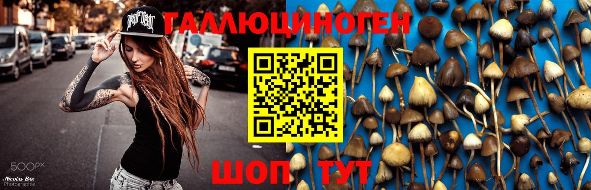 Псилоцибиновые грибы GOLDEN TEACHER Россошь
